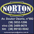 Norton